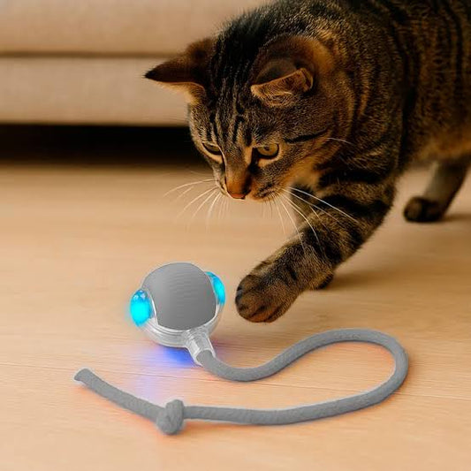😎PELOTA DE ENTRETENIMIENTO PARA MASCOTAS😇